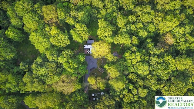 149 Deer Path Ln, Tobyhanna Twp, PA 18346 - drone / aerial view