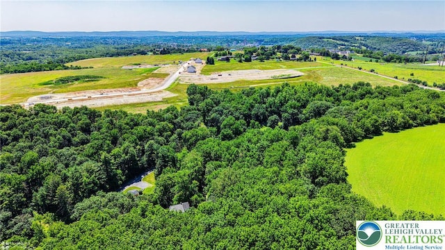 388 Kohls Rd, Allen Twp, PA 18067 - drone / aerial view