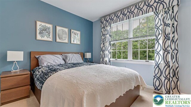 310 Spyglass Hill Rd, Bath Boro, PA 18014 - carpeted bedroom with multiple windows