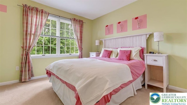 310 Spyglass Hill Rd, Bath Boro, PA 18014 - carpeted bedroom featuring baseboards