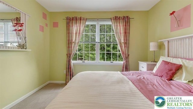 310 Spyglass Hill Rd, Bath Boro, PA 18014 - carpeted bedroom featuring baseboards