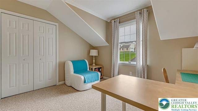 310 Spyglass Hill Rd, Bath Boro, PA 18014 - carpeted office with plenty of natural light and ornamental molding