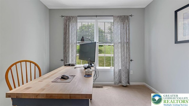 310 Spyglass Hill Rd, Bath Boro, PA 18014 - office area with healthy amount of natural light and carpet flooring