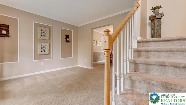 310 Spyglass Hill Rd, Bath Boro, PA 18014 - staircase with carpet floors and crown molding