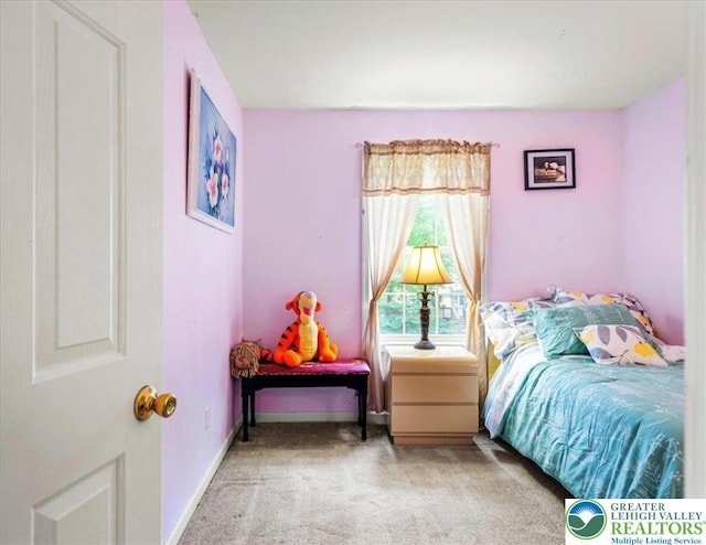 210 Swartsburo Dr, Lehman Twp, PA 18371 - carpeted bedroom featuring baseboards
