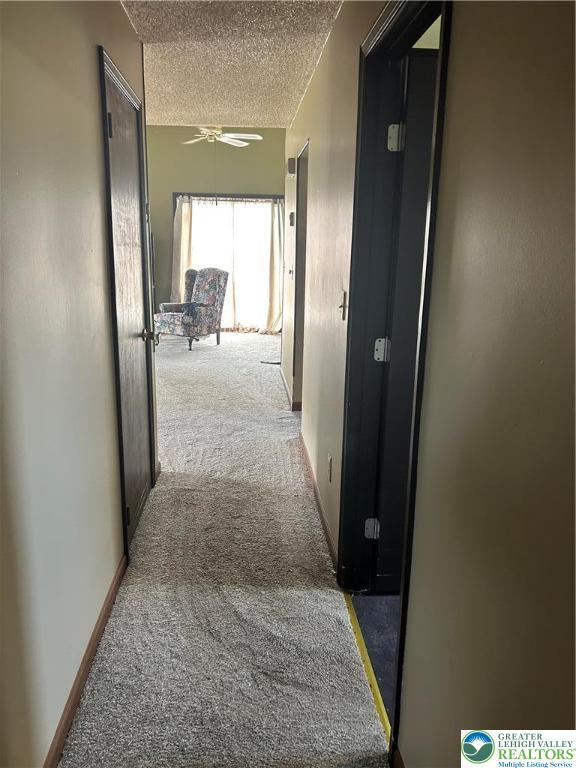 4103 Birch Dr, Bethlehem City, PA 18020 - hall featuring carpet and a textured ceiling