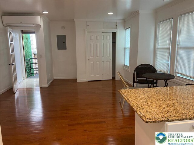 640 Park St, Allentown City, PA 18102 - entryway featuring crown molding, dark wood-type flooring, a wall unit AC, electric panel, and recessed lighting