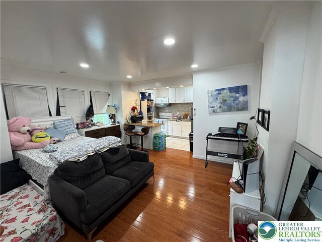 640 Park St, Allentown City, PA 18102 - living room featuring light wood-style floors, recessed lighting, and ornamental molding