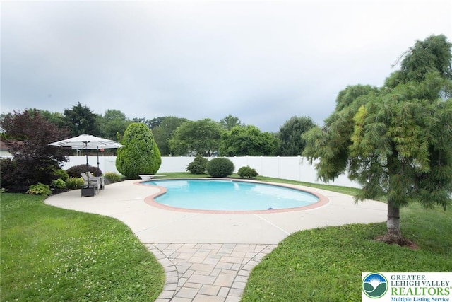 1325 Devon Cir S, Whitehall Twp, PA 18104 - view of swimming pool featuring a patio