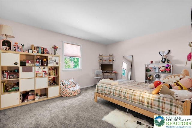 1746 Victoria Cir, Allentown City, PA 18103 - photo 25
