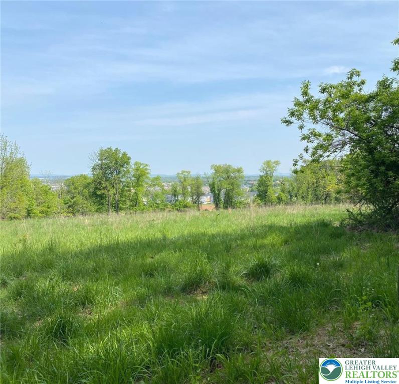 Mountain, Lower Macungie Twp, PA 18062 - photo 1