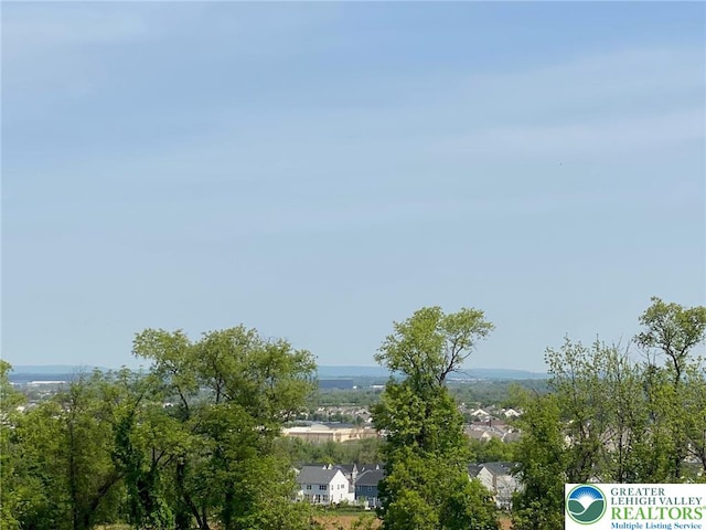 Mountain, Lower Macungie Twp, PA 18062 - photo 3