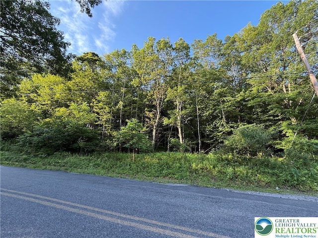 Indian Hill Rd, Franklin Twp, PA 18235 - photo 1