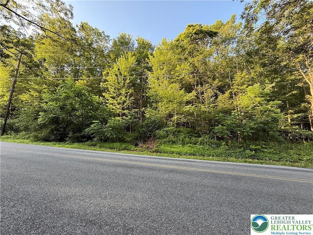 Indian Hill Rd, Franklin Twp, PA 18235 - photo 2