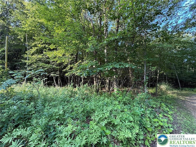 Indian Hill Rd, Franklin Twp, PA 18235 - photo 3