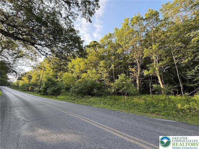 Indian Hill Rd, Franklin Twp, PA 18235 - photo 4