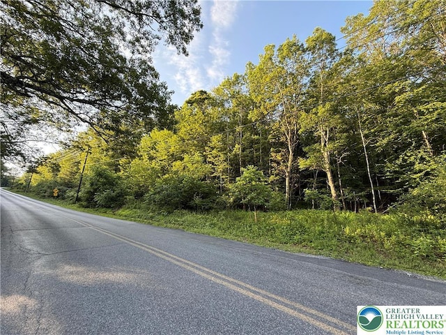 Indian Hill Rd, Franklin Twp, PA 18235 - photo 5
