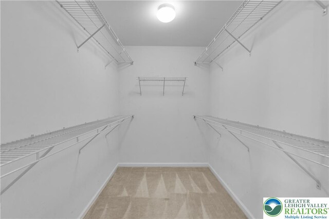 1143 Westminster Dr, Upper Macungie Twp, PA 18031 - photo 24