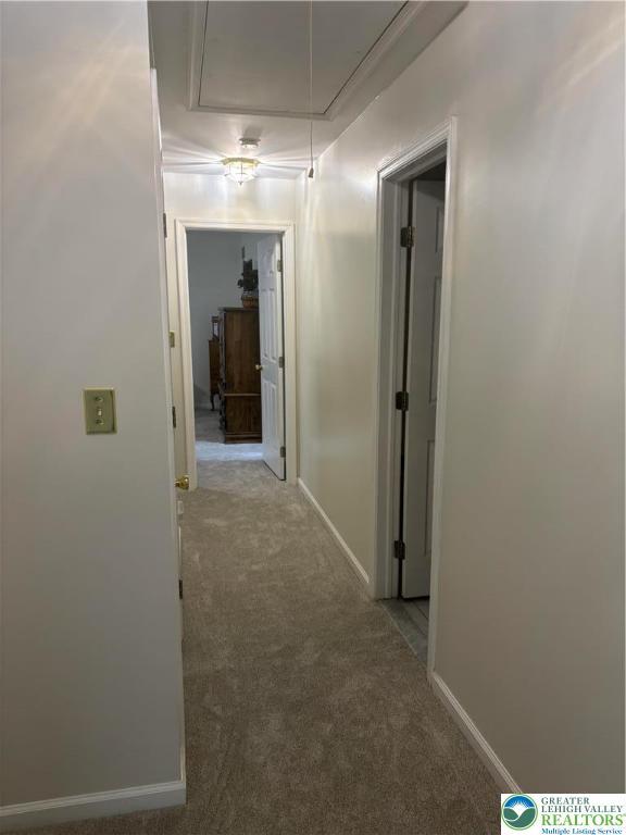 2484 Alpine Dr, Lower Saucon Twp, PA 18055 - photo 29
