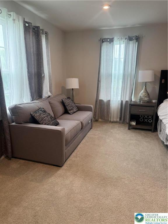 1296 Woodmont Ln, North Catasauqua Bor, PA 18032 - photo 12