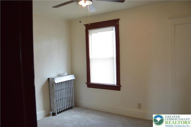 1338 Butler St, Easton, PA 18042 - photo 12