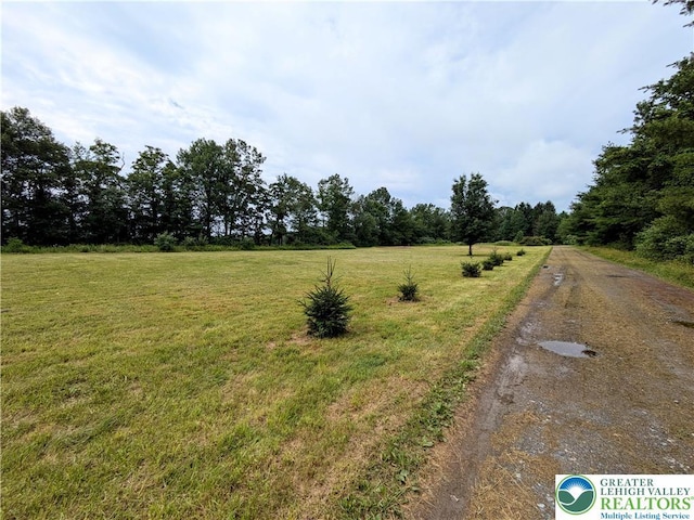 223 Brink Rd, Chestnuthill Twp, PA 18353 - photo 14