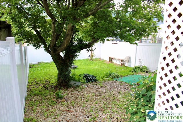 223 W Phillips St, Coaldale Boro, PA 18218 - photo 6