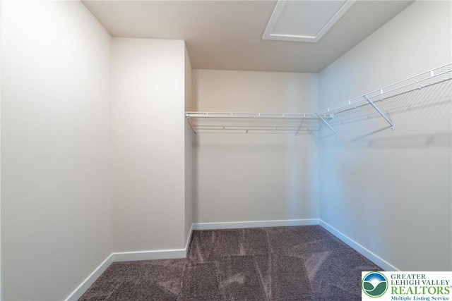 4901 Brookside Ct, Upper Saucon Twp, PA 18036 - spacious closet with carpet flooring and attic access