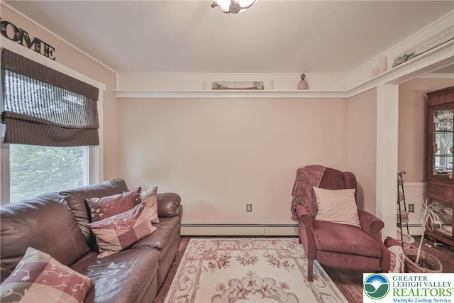 1812 Treeline Dr, Forks Twp, PA 18040 - living area with plenty of natural light and baseboard heating