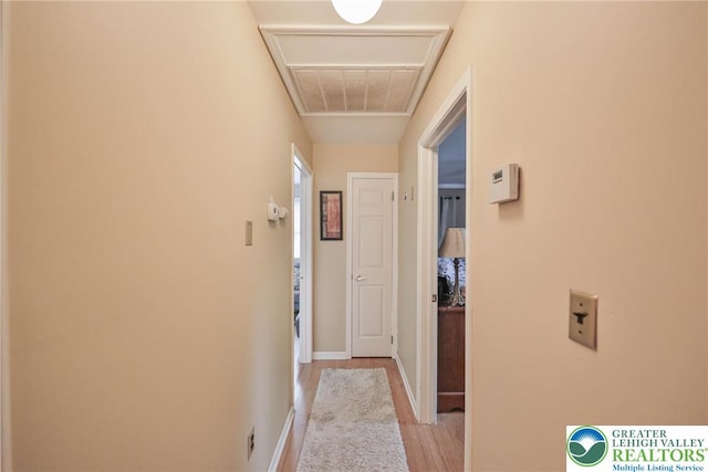 1812 Treeline Dr, Forks Twp, PA 18040 - corridor with light wood-style flooring and baseboards