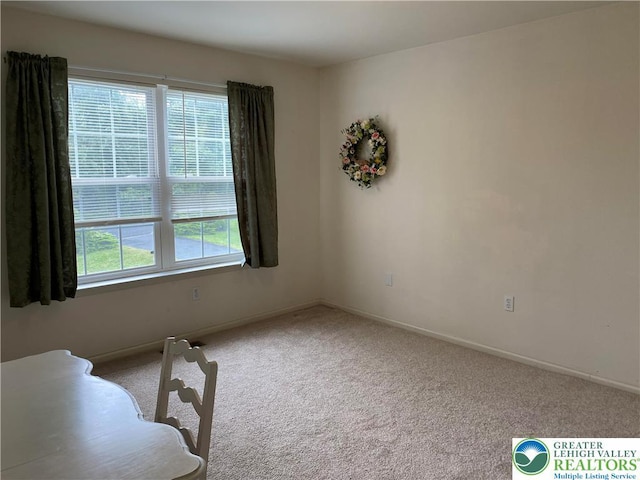 120 Palomino Cir, Washington Twp, PA 18013 - unfurnished dining area with carpet floors and baseboards