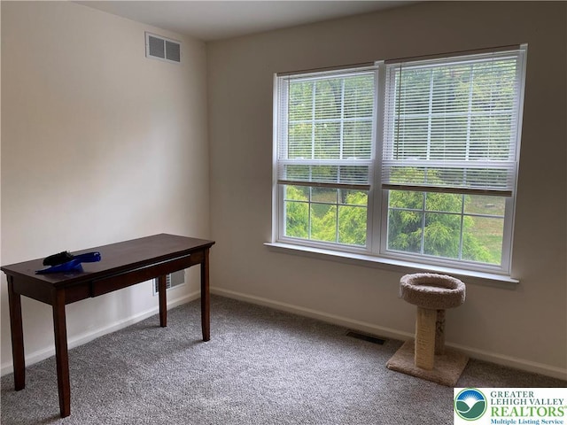 120 Palomino Cir, Washington Twp, PA 18013 - home office with baseboards and carpet flooring