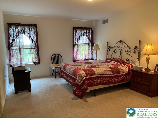 120 Palomino Cir, Washington Twp, PA 18013 - bedroom featuring multiple windows and carpet flooring