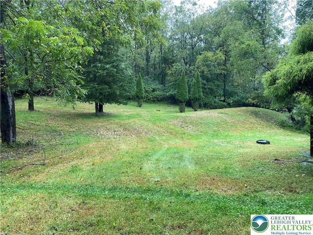 120 Palomino Cir, Washington Twp, PA 18013 - view of yard
