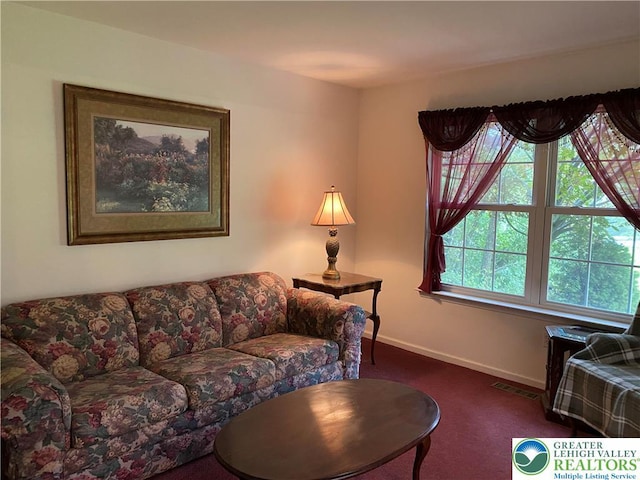 120 Palomino Cir, Washington Twp, PA 18013 - living room with dark carpet and baseboards