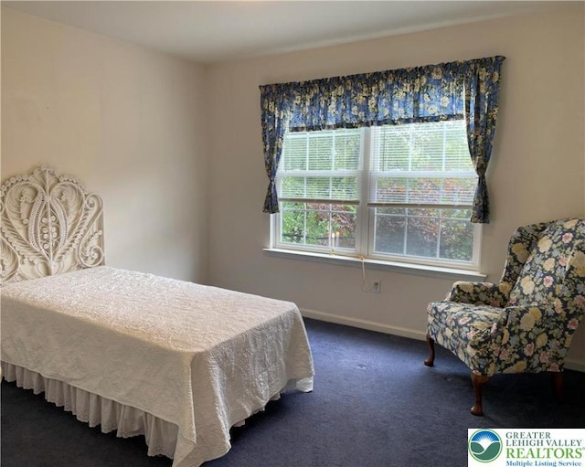 120 Palomino Cir, Washington Twp, PA 18013 - carpeted bedroom with baseboards