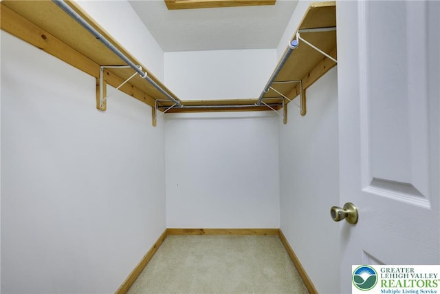 153 Pine Ct, Jackson Twp, PA 18372 - photo 29