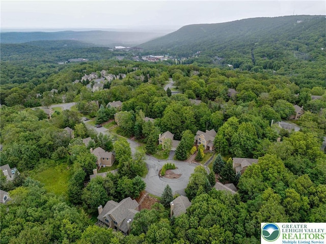 153 Pine Ct, Jackson Twp, PA 18372 - photo 41