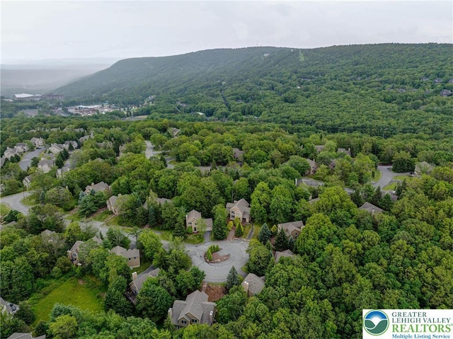153 Pine Ct, Jackson Twp, PA 18372 - photo 42