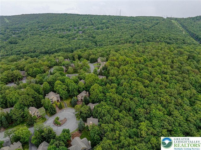 153 Pine Ct, Jackson Twp, PA 18372 - photo 43