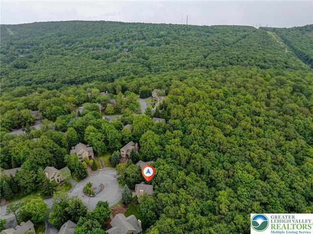 153 Pine Ct, Jackson Twp, PA 18372 - photo 44