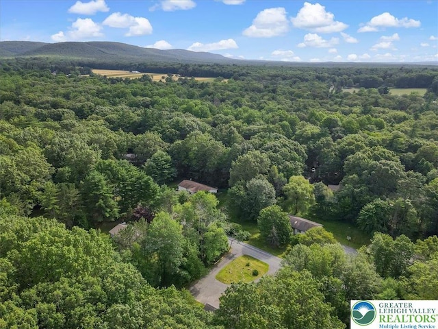 671 Dotters Corner Rd, Polk Twp, PA 18058 - aerial view of a heavily wooded area and mountains