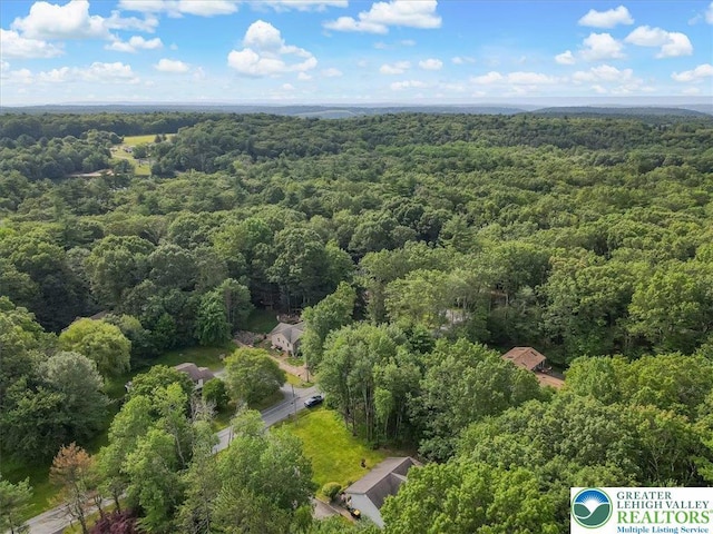 671 Dotters Corner Rd, Polk Twp, PA 18058 - aerial view of a forest