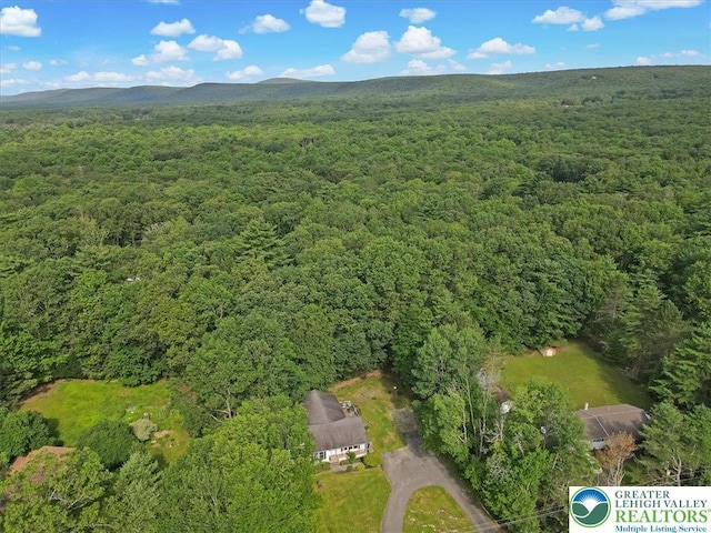 671 Dotters Corner Rd, Polk Twp, PA 18058 - aerial view of property's location featuring a forest