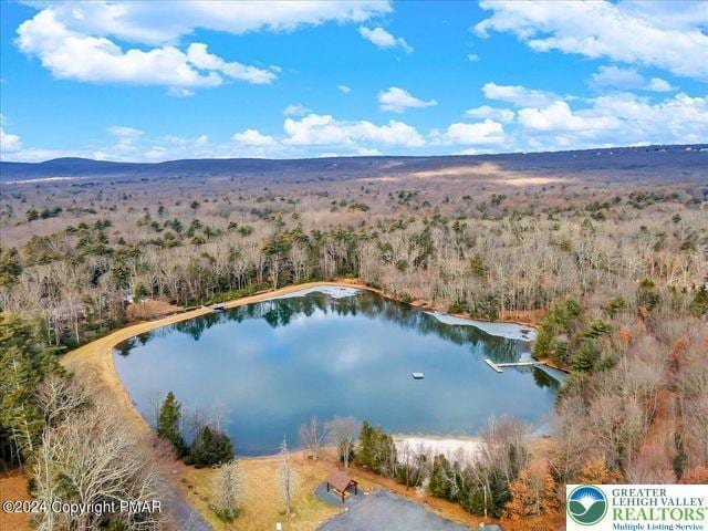 671 Dotters Corner Rd, Polk Twp, PA 18058 - bird's eye view of a nearby body of water