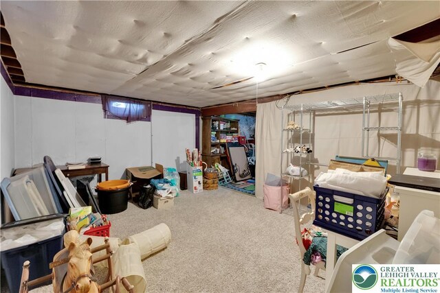 1919 W Cedar St Unit 1919, Allentown City, PA 18104 - unfinished below grade area featuring carpet