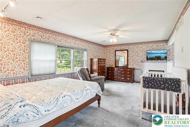 6365 Constitution Rd, Lowhill Twp, PA 18078 - carpeted bedroom featuring wallpapered walls, a wainscoted wall, track lighting, and a ceiling fan