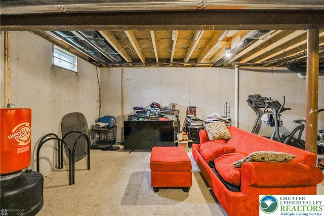 205 Maple Ct, Alburtis Boro, PA 18011 - view of basement