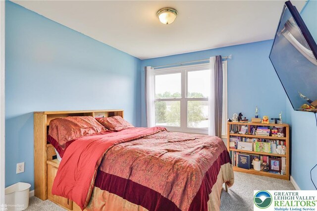 205 Maple Ct, Alburtis Boro, PA 18011 - bedroom with carpet and baseboards