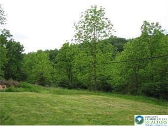 2423 Post Rd, Upper Macungie Twp, PA 18106 - view of green lawn featuring a forest view
